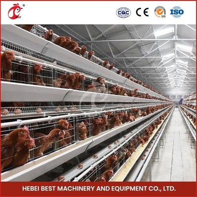 Cage Mesh H-type Broiler Kipencage met ventilatie voor gezonde vogels