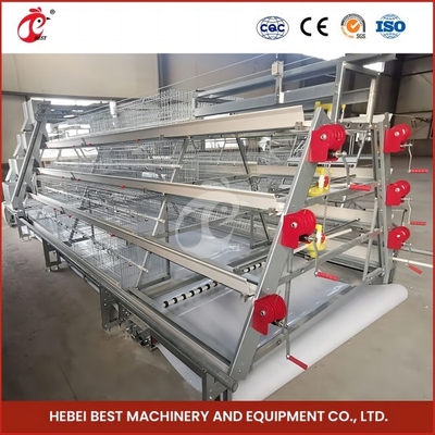 1.6m breed 4 laag kooi voor pluimveehouders Rose
