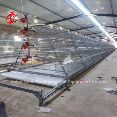 Een type 3.8mm laag batterij kooi systeem 80-100 kg gewicht met voeder Emily Wang