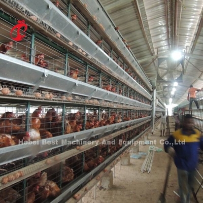 Tier 5 pluimveehouderij kooi systeem met automatische ei-collectie machine gegalvaniseerde iris