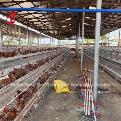 2.2m x 2.4m x 1.95m laag batterij kooi systeem 4 niveau 160 capaciteit zand
