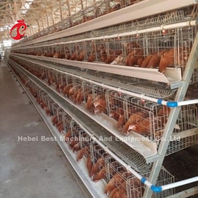 Automatische elektrische besturing van het pluimveelaagkooien systeem 4 Tier Farm Design Ada