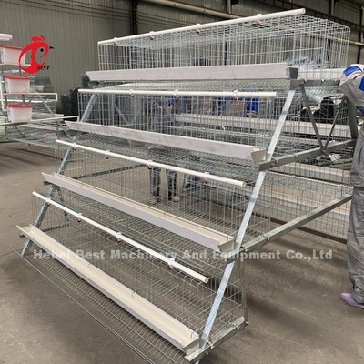 A &amp; H kippenkooien voor de kippenhouderij