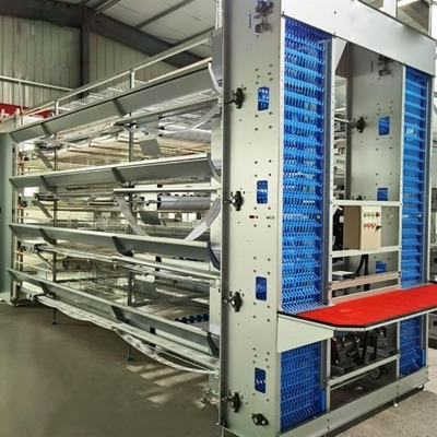 Gegalvaniseerd staal 96-200 Vogels pluimvee Batterij Cage System Voor laag Farm Emily Wang