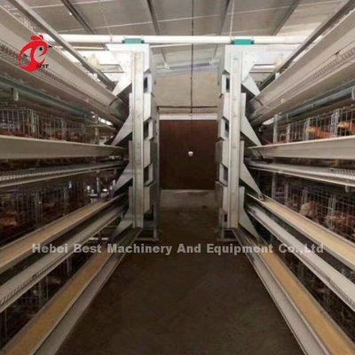 Automatische laag batterij kooi systeem H frame voor 30000 vogels pluimveehouderij Emily Wang