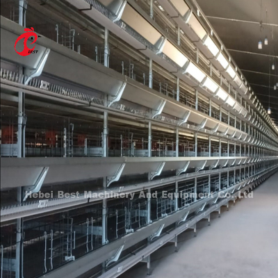 Nieuw ontwerp H-type automatisch kippenkooi systeem 96-200 vogels capaciteit voor pluimveehouderij Emily Wang
