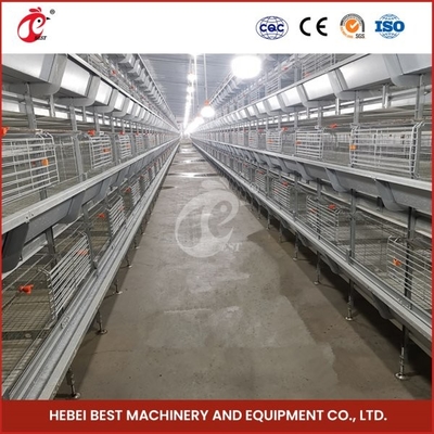 H-vormige H-type broiler kippenkooi met schuifdeur 450cm2 Ruimte / vogel video installatie inclusief Ada