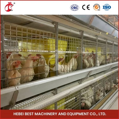 H-vormige H-type broiler kippenkooi met schuifdeur 450cm2 Ruimte / vogel video installatie inclusief Ada