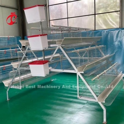 3 Tier 120 Vogels En 4 Tier 160 Vogelslaag Batterij Cage System Voor Oeganda Tanzania Vogelveehouderij Sandy