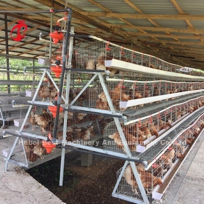 3 Tier 120 Vogels En 4 Tier 160 Vogelslaag Batterij Cage System Voor Oeganda Tanzania Vogelveehouderij Sandy