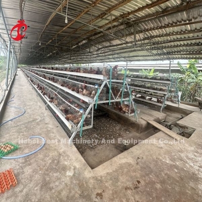Layer 3 of 4 Tier batterij kooi systeem voor 500-1000 vogels Iris