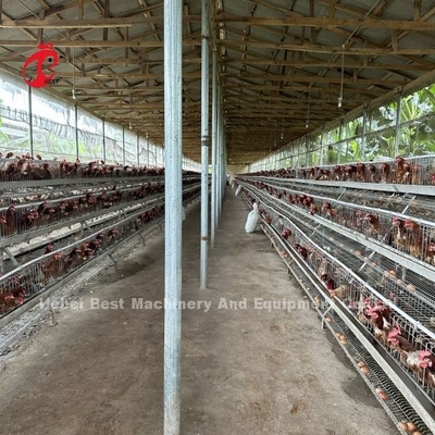 Beste merk betrouwbare pluimveehouderij kooi systeem van pluimveebeheer iris