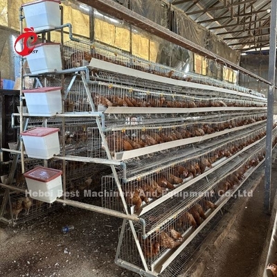 Beste merk betrouwbare pluimveehouderij kooi systeem van pluimveebeheer iris