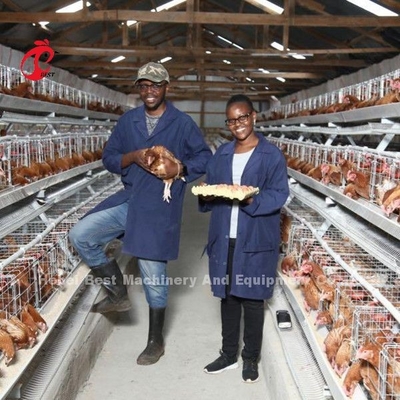Van de de Fabrieksbatterij van China de Laagkooi 5 rij met Gevogeltemateriaal voor Zandige de Markt van Afrika