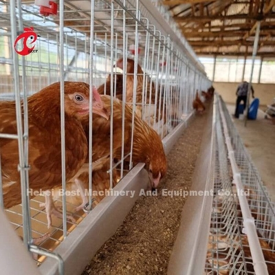 Van de de Fabrieksbatterij van China de Laagkooi 5 rij met Gevogeltemateriaal voor Zandige de Markt van Afrika