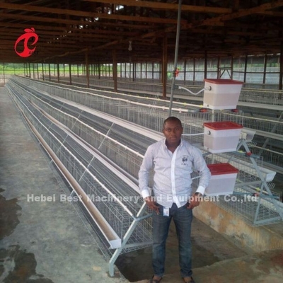 Kippenkooi met een capaciteit van 110 kg voor het opvoeden van kippen met een oppervlakte van 432 cm2 type A of H Doris