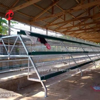 Het hete Ondergedompelde Gegalvaniseerde Systeem van de LaagBatterijkooi voor het Staal Emily van het Gevogeltelandbouwbedrijf Q235