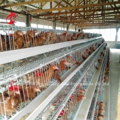 Beste Kwaliteit een van de de Kooibatterij van de Typelaag van het de laagei de kippenkooi 240 Vogels Emily