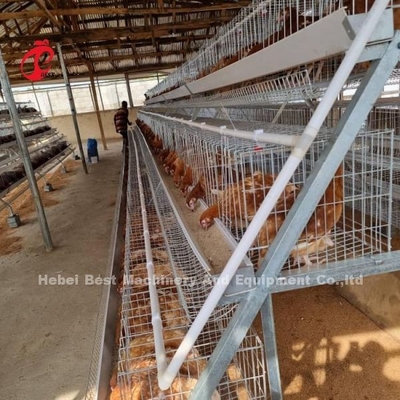 Automatisch pluimveelaag Broiler Kwekerij Kooi systeem Met drink- en voedingsapparatuur Adela