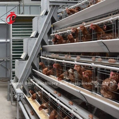Semi Automatisch de Kooi van de Gevogeltelaag het Voeden Systeem 1.5KW 380V Doris