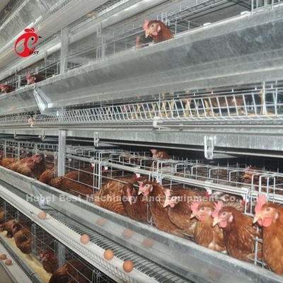 Semi Automatisch de Kooi van de Gevogeltelaag het Voeden Systeem 1.5KW 380V Doris