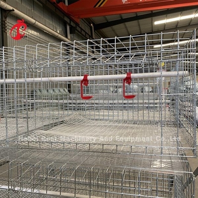 De Braadkipkooi 3 van het gevogeltelandbouwbedrijf Rijen, een TypeBatterijkooi voor Grills Doris