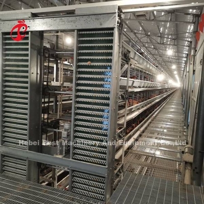 Gepersonaliseerd Automatisch Eierverzameling Voeder Hopper Systeem Voor 30.000 Kippen Farm Doris