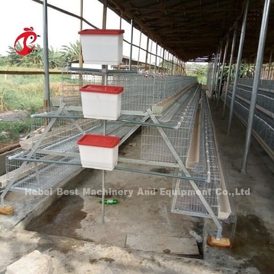 Een h-type Automatisch van de het Materiaalkweker van het Laaggevogelte Zandig Systeem van de de Kippenkooi