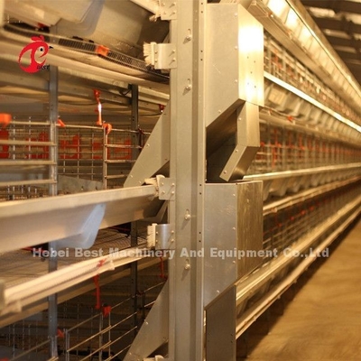 De elektrische van de de Laagkooi van het Controlegevogelte van de het Systeemlaag van het de Kippenstaal Kooi Emily