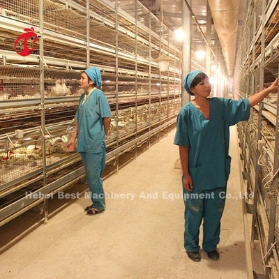 Moderne ontwerp batterijlaag kooi type H pluimveehouderij kooi ISO14001 Emily