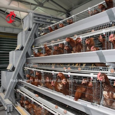 Semi Automatische Kooi 15000 van de Gevogeltelaag Kooi van het Vogels de Handgevogelte in de Iris van Nigeria