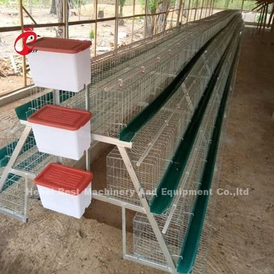 Het Pakhuispremie van Nigeria en het Luxesysteem van de GevogelteBatterijkooi voor Zandige Laagkippen