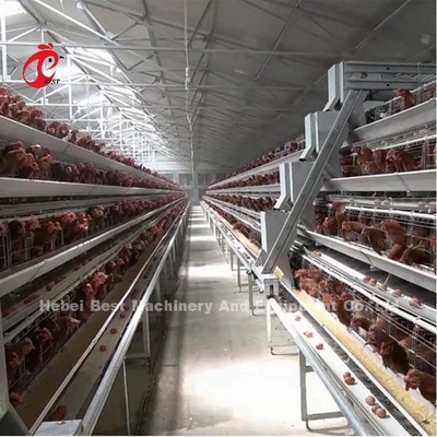 Een de Kooisysteem van de Type Automatisch Laag met Gevogeltemateriaal in de Iris van Nigeria