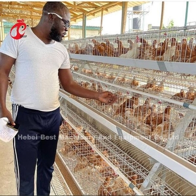 De automatische Kooi van de Batterijlaag, Pluimveehouderijkooi Nigeria Zandig Lagos