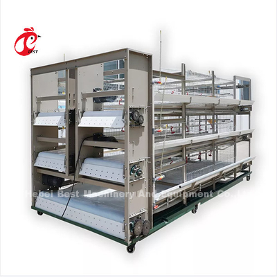 16 weken Eieren leggen Hen A of H Frame Geautomatiseerde laag kooien 15000 Vogels Emily