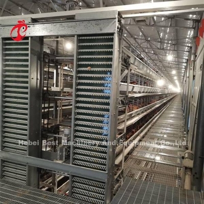 Warm diep gegalvaniseerd pluimvee laag kooi voor 20.000 vogels pluimvee kippenboerderij zand