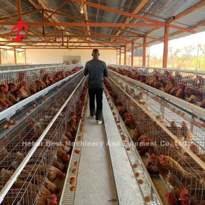 Oeganda 4 de Laagkooi van het Rijengevogelte voor Kip 100 kg Mia van het Verkooplandbouwbedrijf