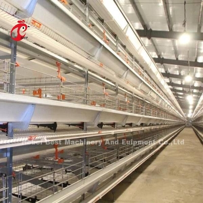 Volledige Automatische Batterijkooiprijs in het type van Nigeria H laag Mia