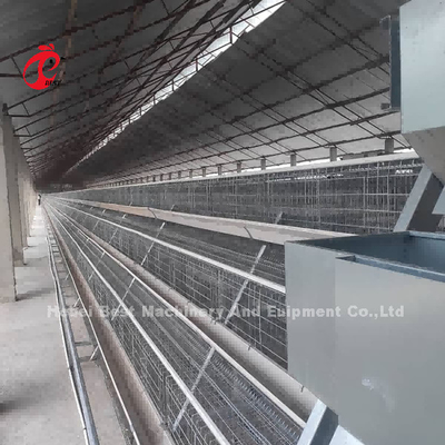De beste Kooi van de het Landbouwbedrijfkip van het Laaggevogelte voor Legkippen 4 Rijen Mia