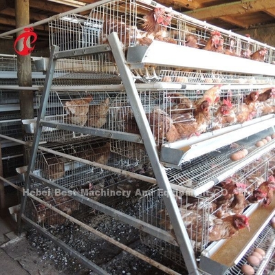 De in het groot Kooi van de het Gevogeltelaag van de Fabrieksprijs Q235, Batterijkooisysteem 256 Vogelsster