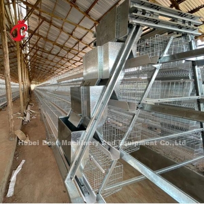 Gegalvaniseerde pluimveehouderij Een soort automatisch kooi systeem voor lagen In Nigeria populair Rose
