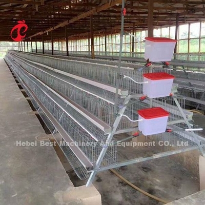 Commercieel de Batterijkooisysteem 2.0m*2.0m*1.45m van de Kippenlaag in de Ster van Nigeria