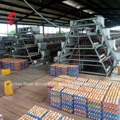 Kant en klaar de Batterijkooisysteem 3 van het Project Automatisch Gevogelte Rijen450cm2 Ster