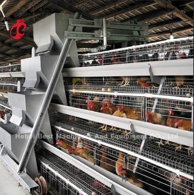 Kant en klaar de Batterijkooisysteem 3 van het Project Automatisch Gevogelte Rijen450cm2 Ster