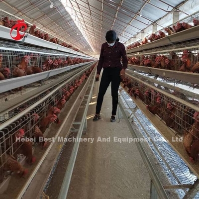 Een de Kooisysteem van de Type Automatisch Pluimveehouderij voor Lagenster
