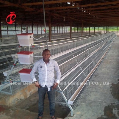 De Prijs van de lagenBatterijkooi in Nigeria 12 Weken Kippen 128 Vogelsster