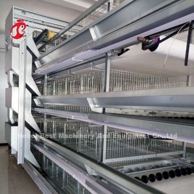 De volledige h-Type Automatische Batterijkooien 500 Vogels Adela van de Laagkip