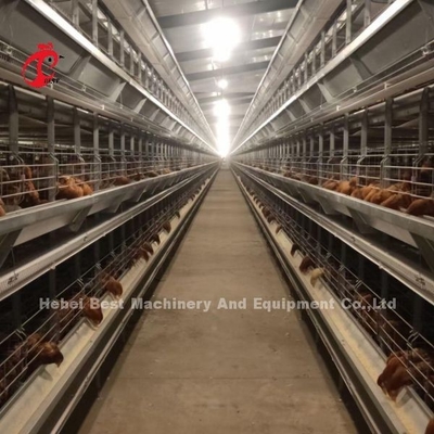 De volledige h-Type Automatische Batterijkooien 500 Vogels Adela van de Laagkip