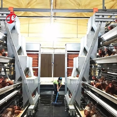 Van de de KippenBatterijkooi van de Typelaag Volledige Automatisch voor Groot Landbouwbedrijf Adela
