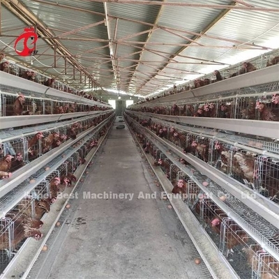 Goedkoop automatisch batterij kooi systeem warm gegalvaniseerd 25 Levensduur 450cm2 In Nigeria Emily